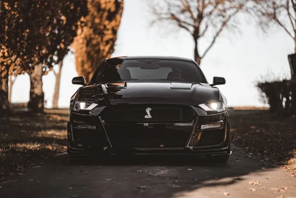 OG Casino Application Android/iOS